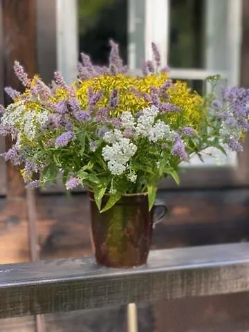 Anielska Tatil Evi Istebna