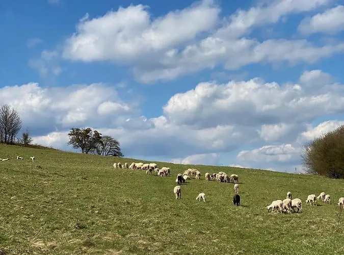 Tatil Evi Anielska Istebna